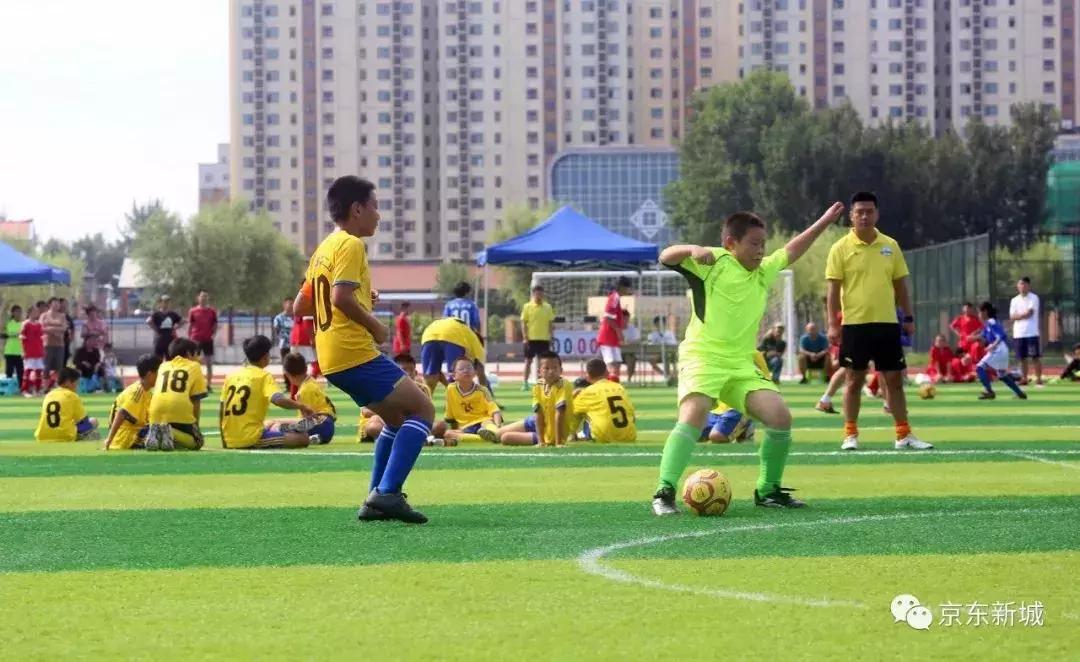 县长杯比赛,大厂县第五届县长杯足球比赛