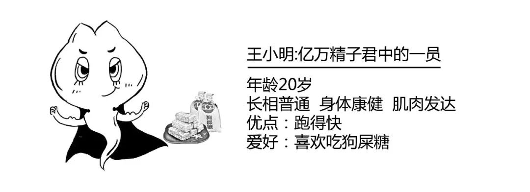 精子君追爱记｜过五关斩六将，终抱得美人归