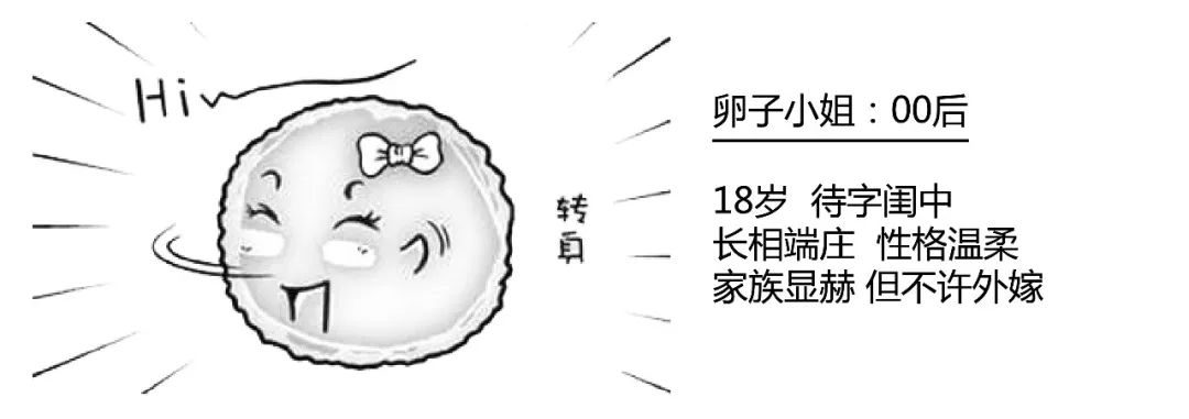 精子君追爱记｜过五关斩六将，终抱得美人归