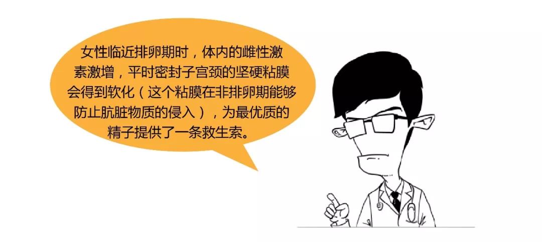 精子君追爱记｜过五关斩六将，终抱得美人归