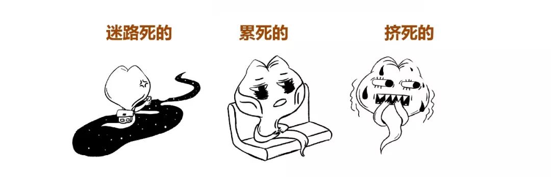 精子君追爱记｜过五关斩六将，终抱得美人归