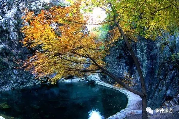 醉美九龙,九龙潭踏青一日游