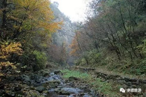 醉美九龙,九龙潭踏青一日游