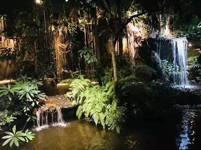 清迈亲子旅游注意事项,清迈亲子旅游美食