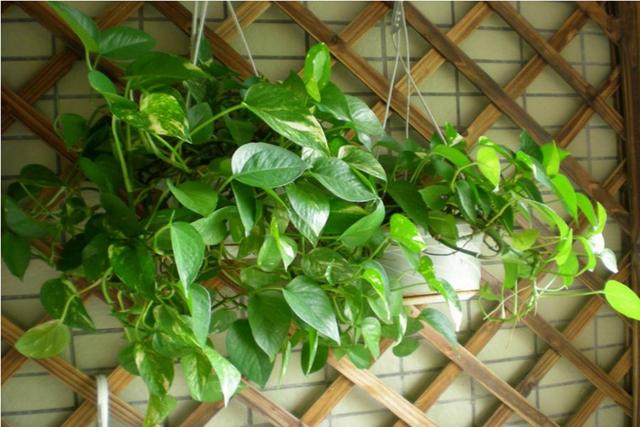 新房装修多久可以入住怎样除甲醛,新房子装修过后如何正确的除甲醛