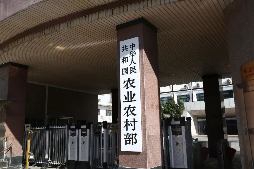 冬菇快讯｜新闻早班车，全新的一天从这里开始！2018.8.20