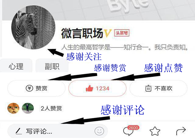 你帮别人干活说辛苦了你该怎么回,工作失误被同龄同事指责
