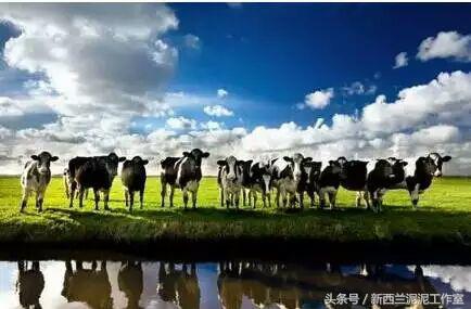 爱他美哪一款奶粉是新西兰的,荷兰进口爱他美奶粉有什么区别