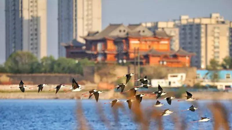 每一座伟大城市都有一个壹号院,每一座伟大的城市
