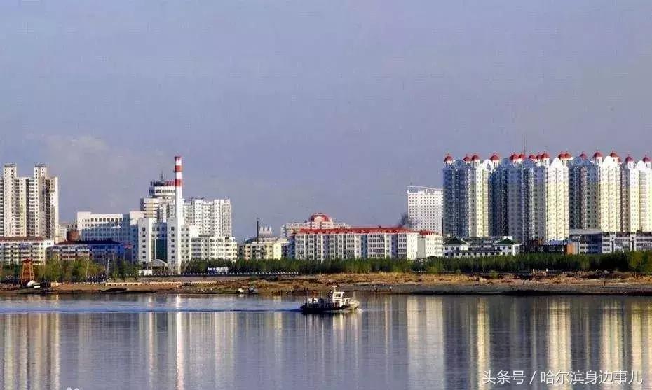 东北特产排行榜前十名黑龙江,黑龙江佳木斯桦南县十大特产