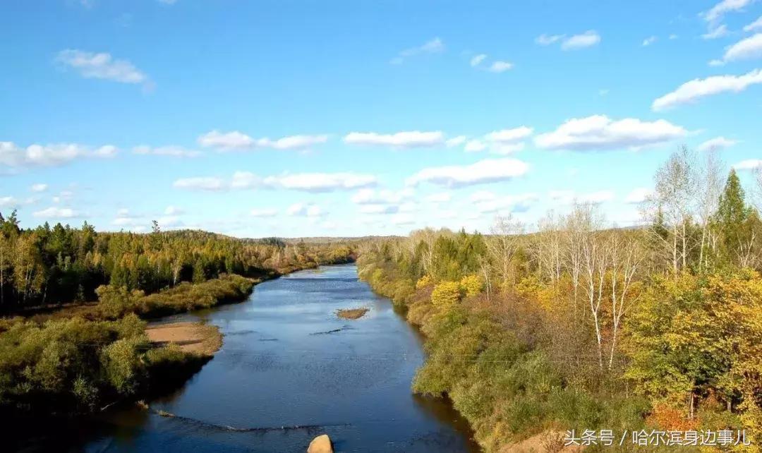 东北特产排行榜前十名黑龙江,黑龙江佳木斯桦南县十大特产