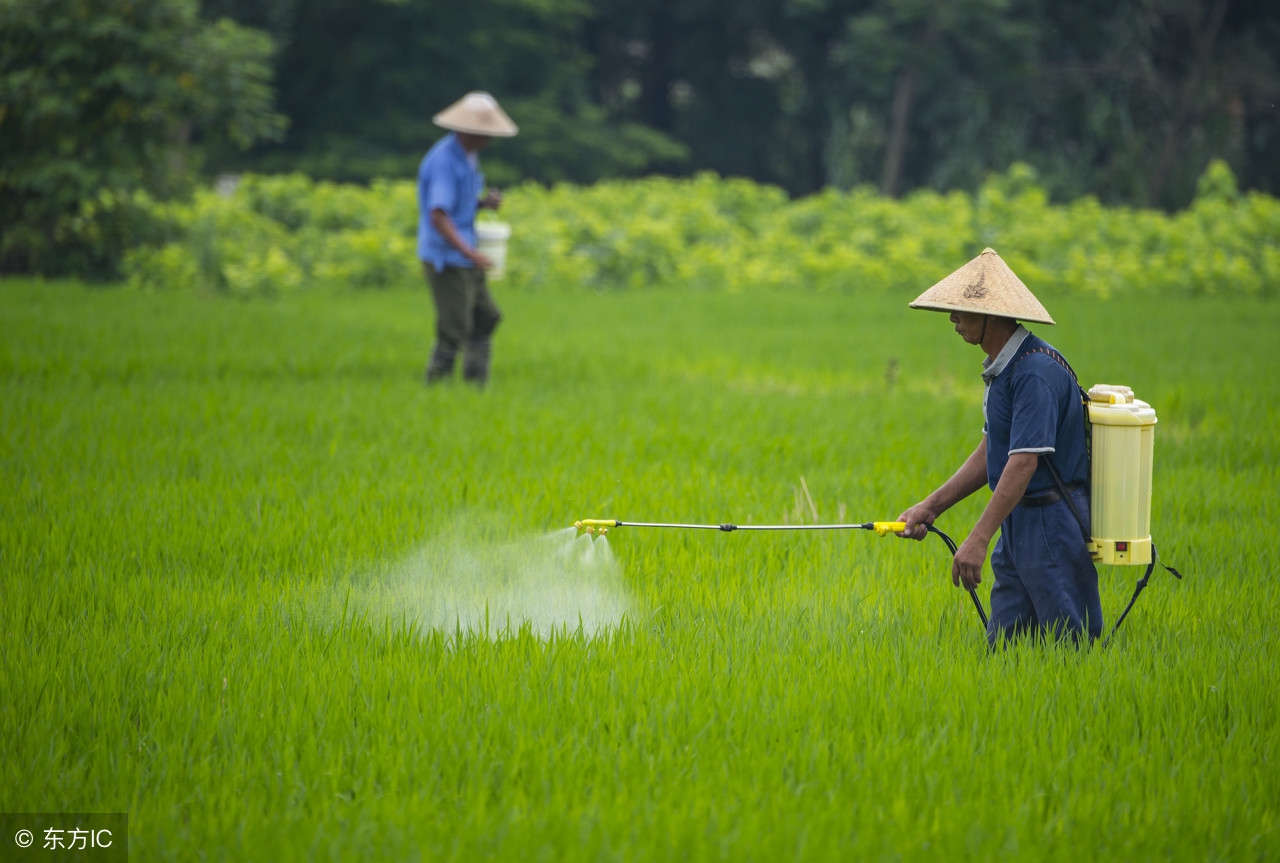 介绍十大除草剂建议收藏,除草剂能用到哪些农作物