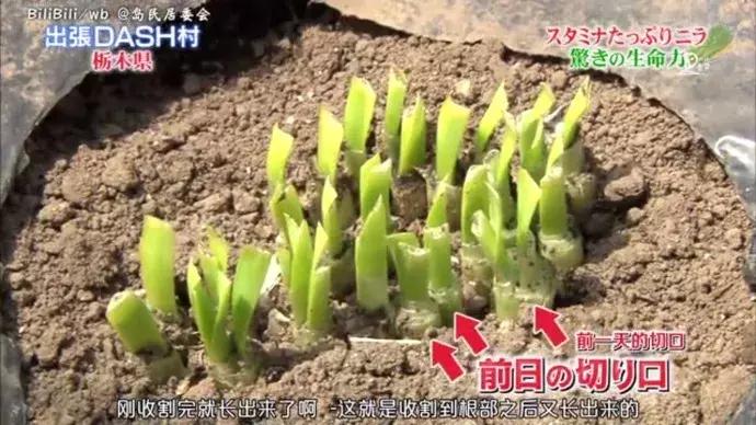 全面放开生育基金有什么,生育基金制度有哪些