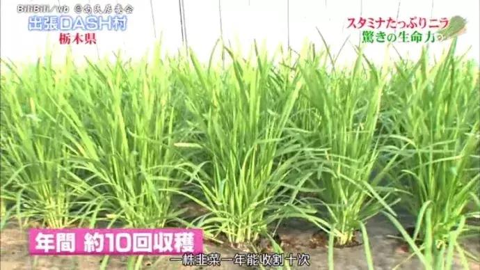 全面放开生育基金有什么,生育基金制度有哪些