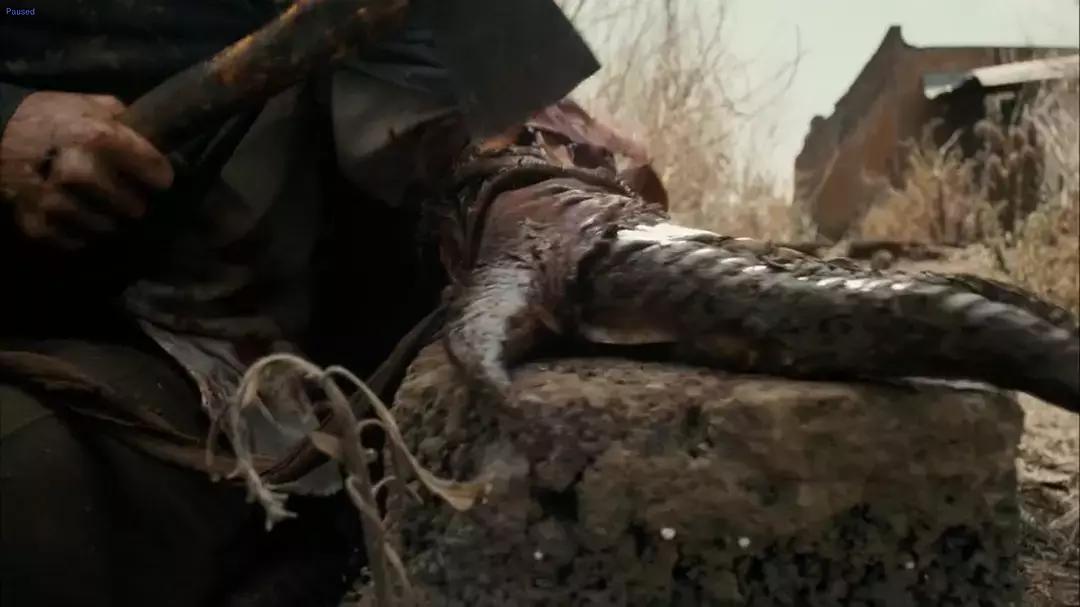 安利八部不可错过的外星人电影,推荐一部最新的关于外星人的电影