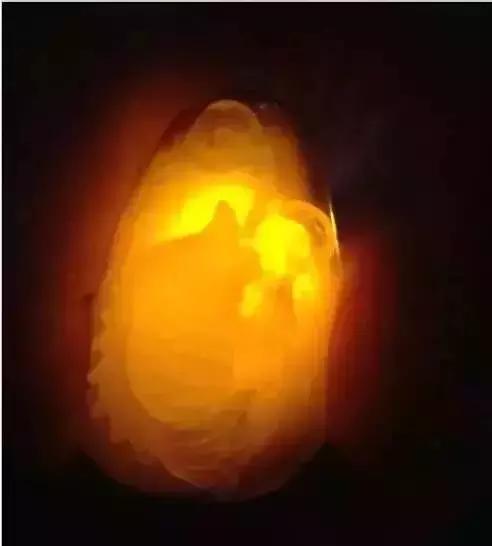 水煮蜜蜡和压制蜜蜡,蜜蜡迷