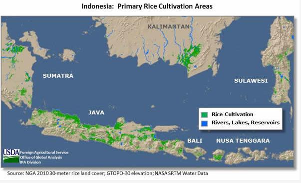 印尼爪哇岛人口与面积,印尼人口众多分布在爪哇岛的原因