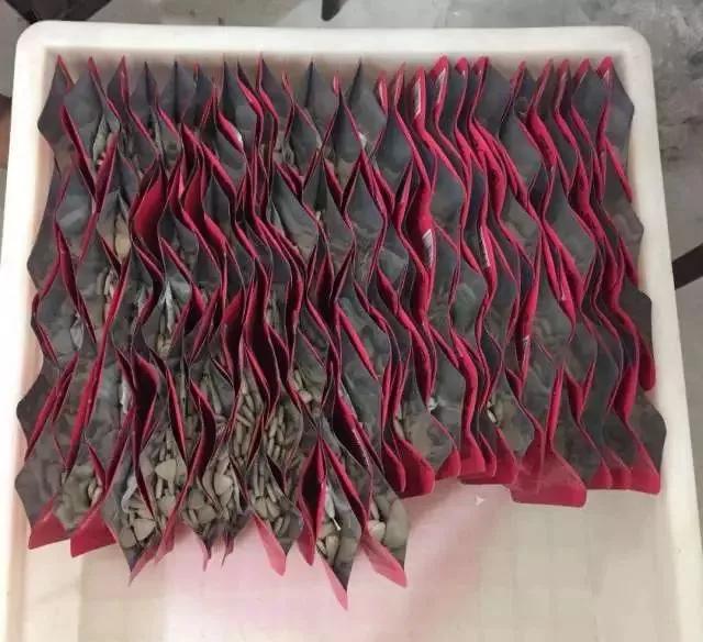 人生下半场拼的是健康文案,人生下半场拼的是健康图片