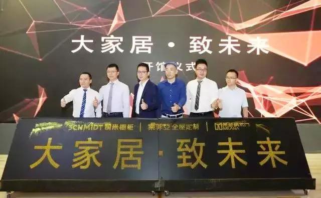 索菲亚家居全屋定制风格,索菲亚家居精选设计