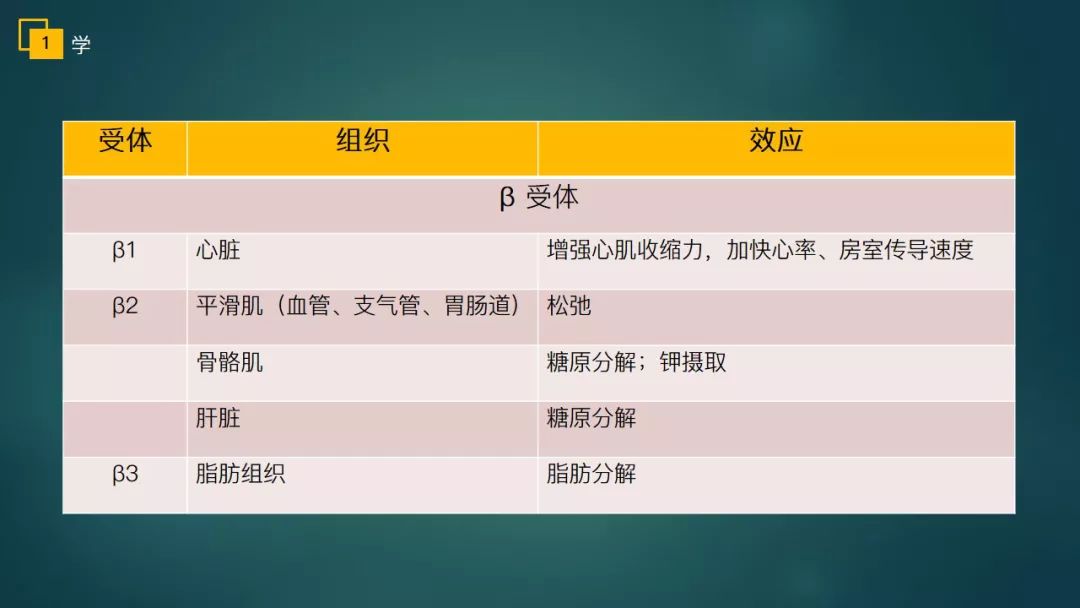 48种非常经典的药理学记忆口诀,药理学口诀及讲解
