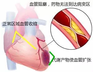 48种非常经典的药理学记忆口诀,药理学口诀及讲解