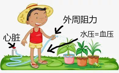 48种非常经典的药理学记忆口诀,药理学口诀及讲解