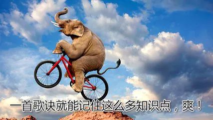 48种非常经典的药理学记忆口诀,药理学口诀及讲解