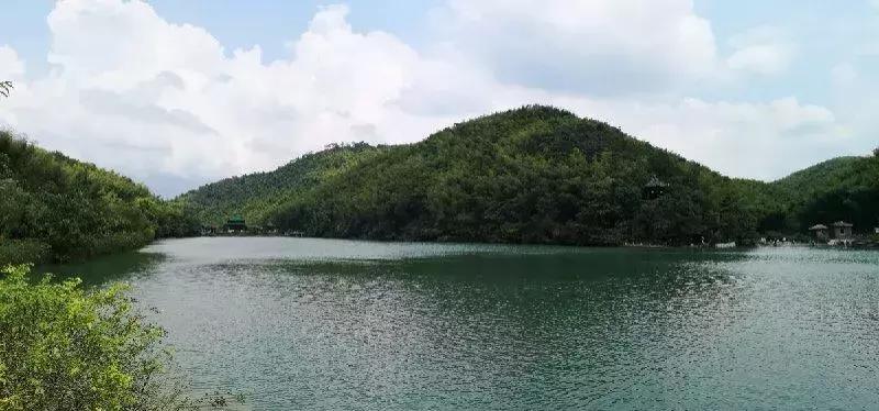 宜兴竹海吹起了一股简洁风，吹来了一波纯色壁纸~