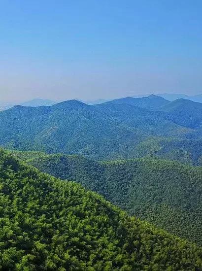 宜兴竹海吹起了一股简洁风，吹来了一波纯色壁纸~