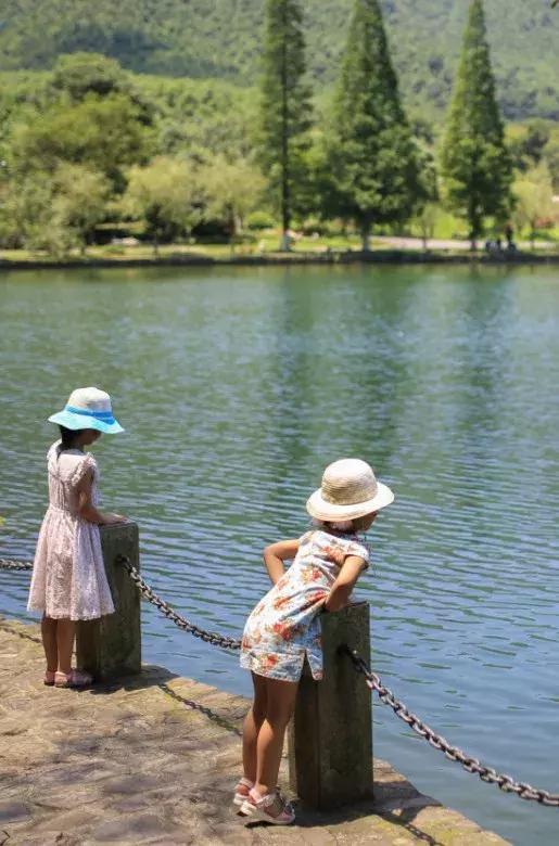 宜兴竹海吹起了一股简洁风，吹来了一波纯色壁纸~