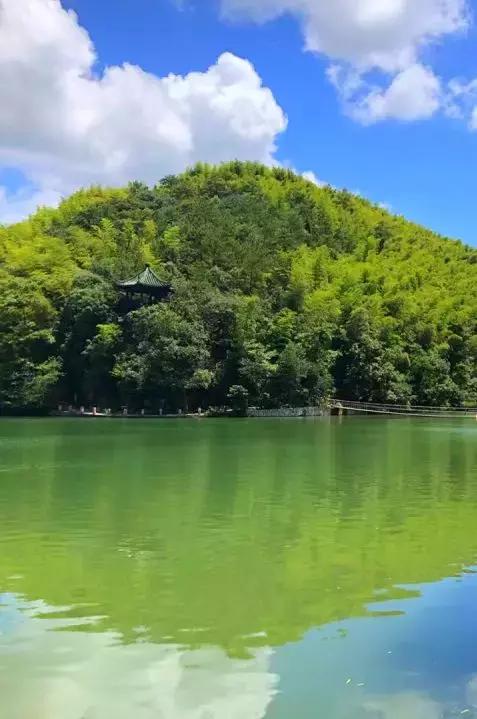 宜兴竹海吹起了一股简洁风，吹来了一波纯色壁纸~