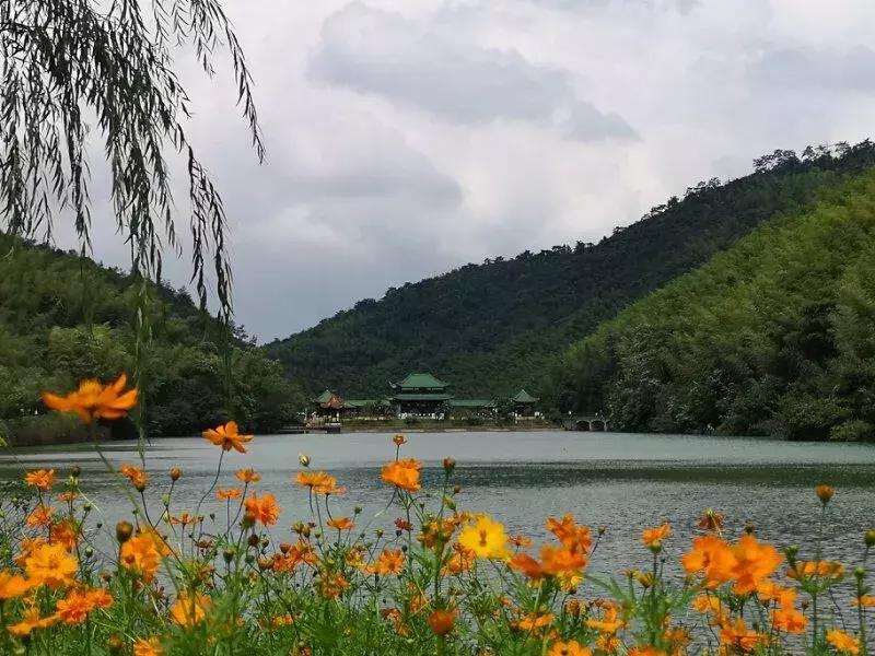 宜兴竹海吹起了一股简洁风，吹来了一波纯色壁纸~