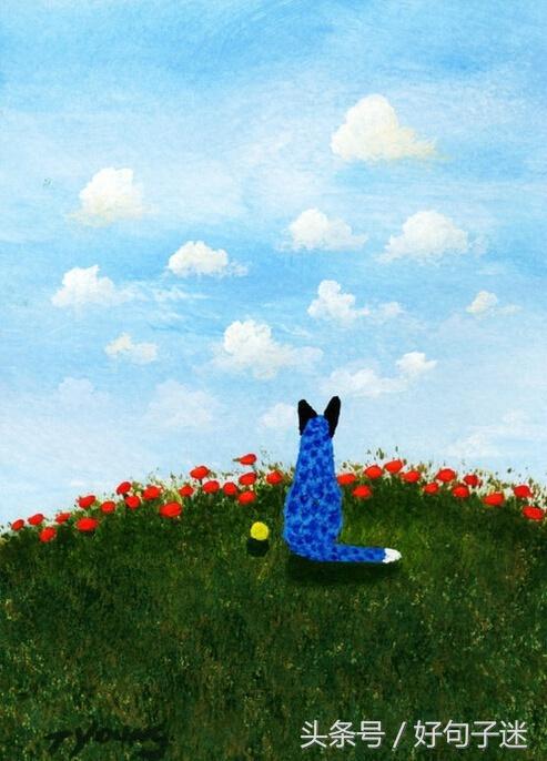 qq空间精辟搞笑说说,qq空间说说搞笑配图加句子