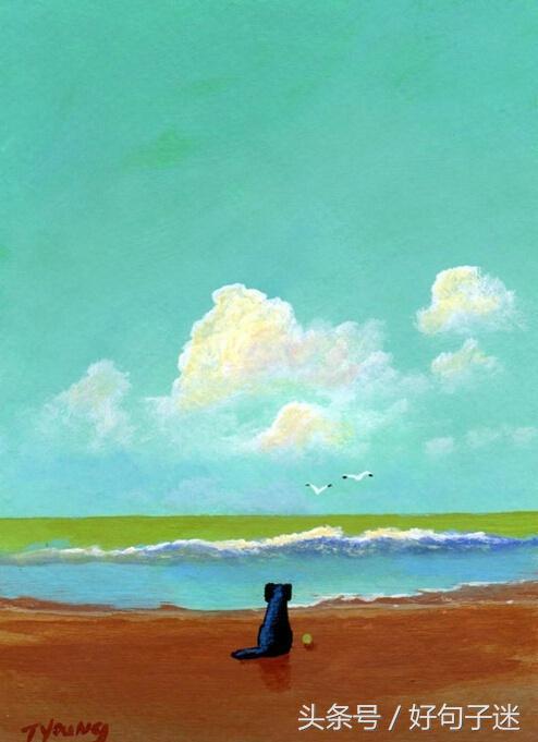 qq空间精辟搞笑说说,qq空间说说搞笑配图加句子