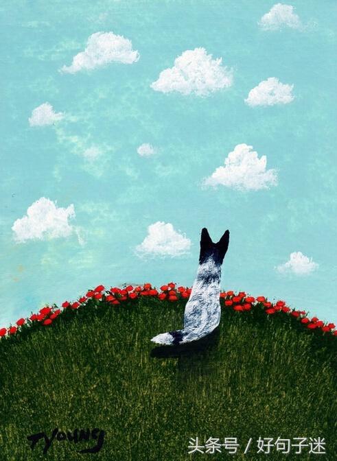 qq空间精辟搞笑说说,qq空间说说搞笑配图加句子