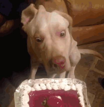 土耳其货币崩盘后的影响,土耳其货币崩盘最新消息