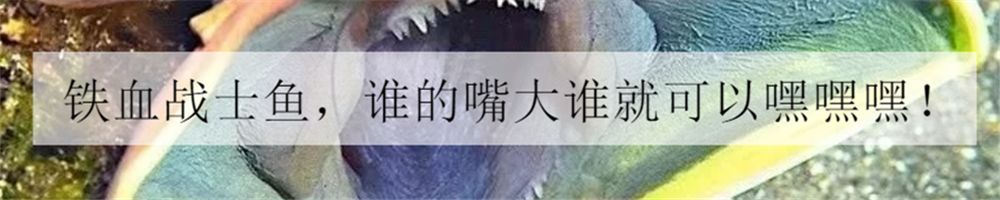 1.2米sps海缸低密度,sps1.5米造景