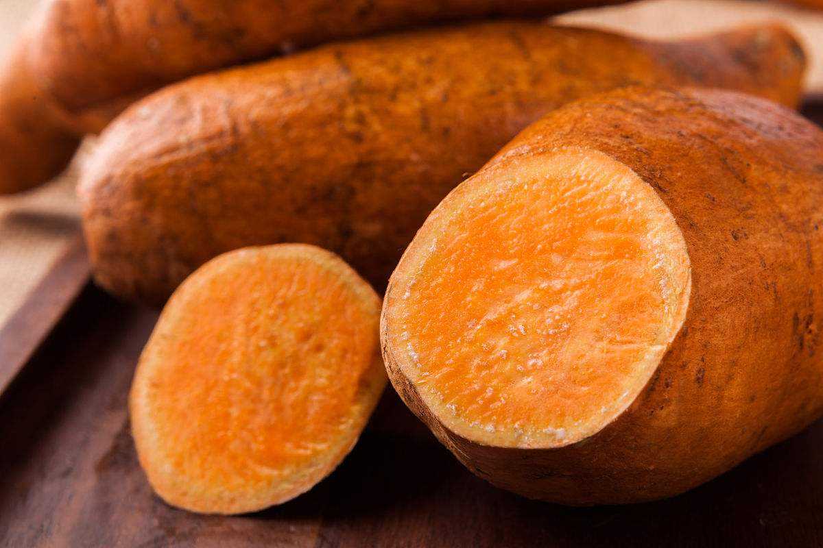 红薯什么品种最好用,红薯种的选择