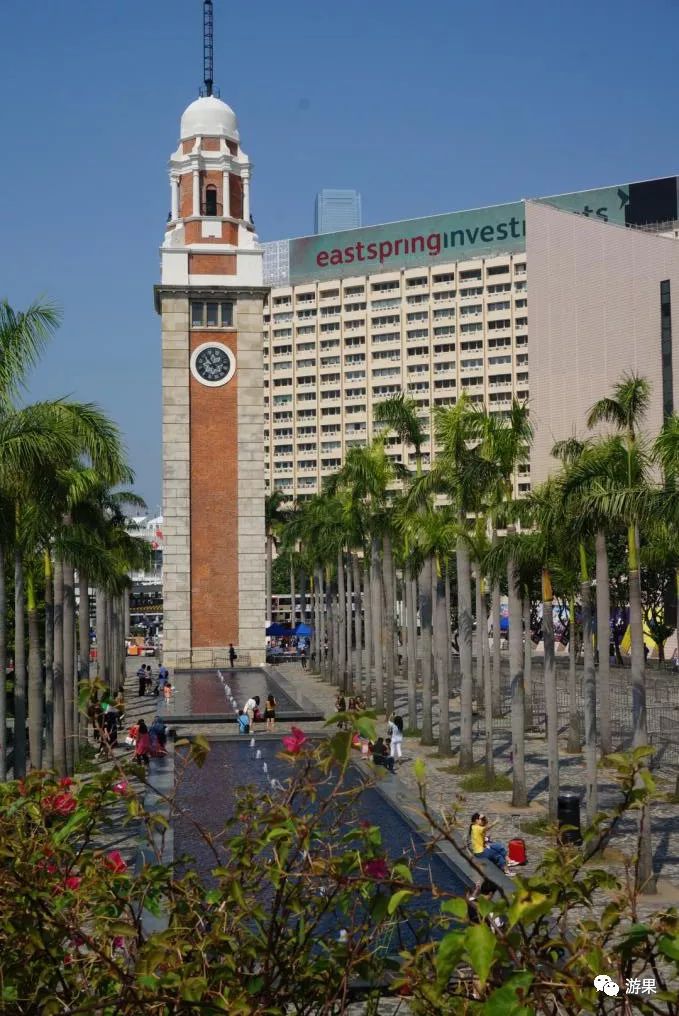 香港一日游全部打卡,香港一日游旺角出发