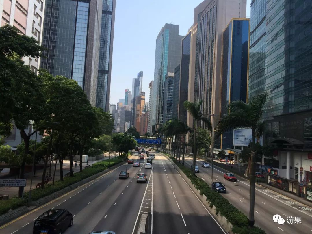 香港一日游全部打卡,香港一日游旺角出发