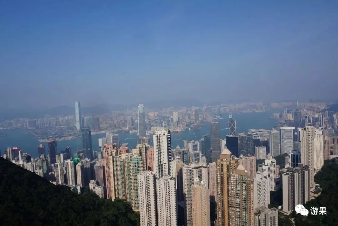 香港一日游全部打卡,香港一日游旺角出发