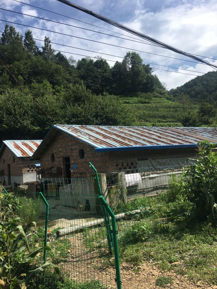 饲料销售值得坚持吗,饲料添加剂销售能干多少年
