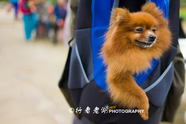 粤北环线自驾攻略：寻觅广东山水秘境