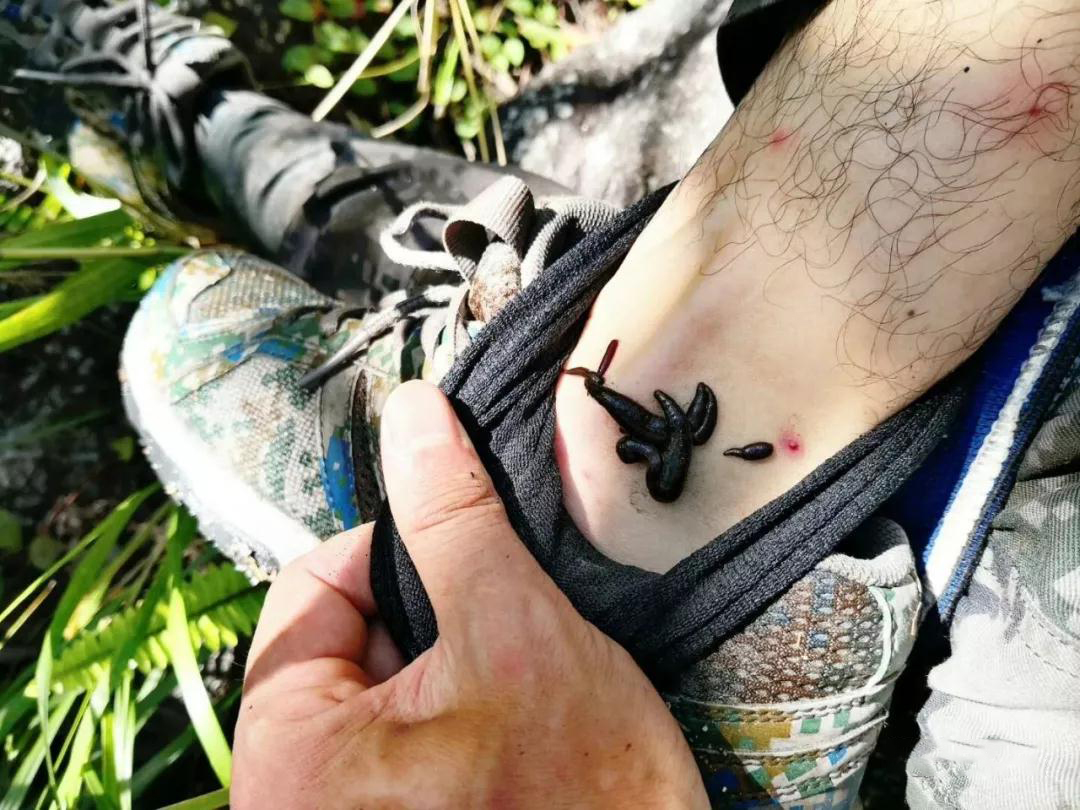 与自然对抗照片,一群与大自然抗争无惧无畏的人