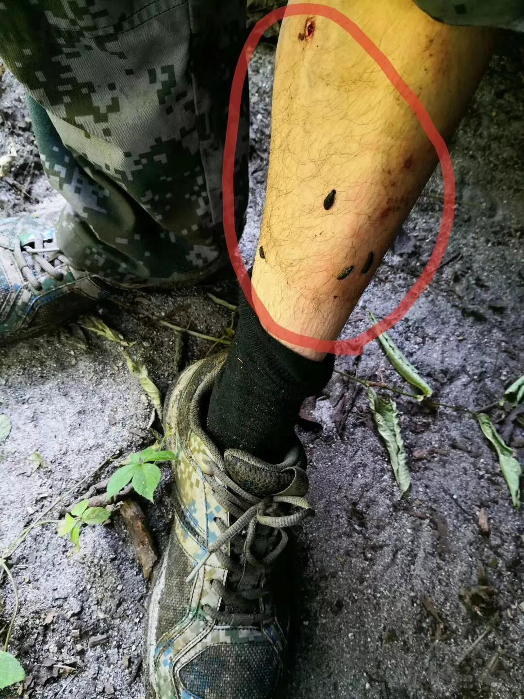 与自然对抗照片,一群与大自然抗争无惧无畏的人