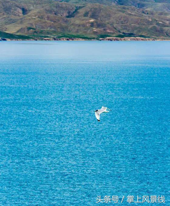 青海有片神秘之境,青海的神秘景点