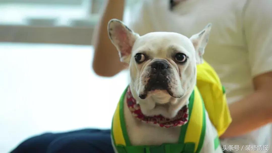 帅气舞蹈家的小阳台变身北欧风“秘密花园”诗和远方!