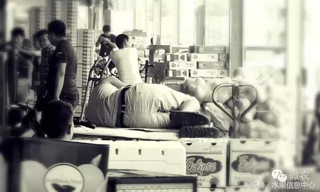 水果行业工作感言,进入水果行业从什么工作入手