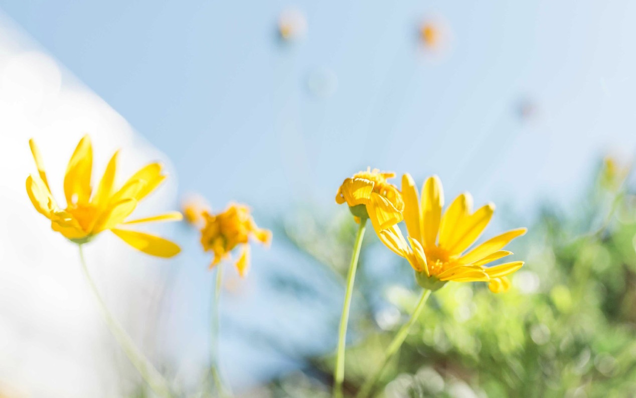 Sofarsogood.迄今为止，一切都很好