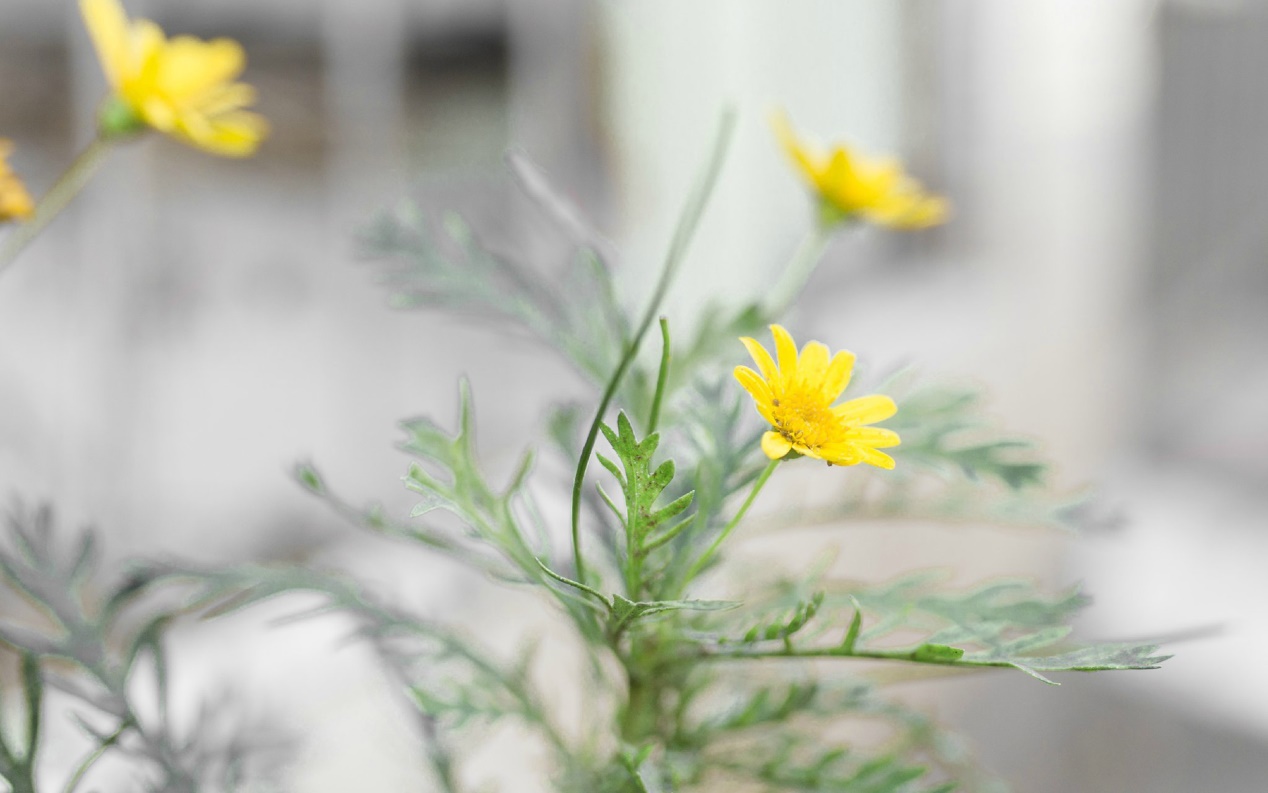 Sofarsogood.迄今为止，一切都很好